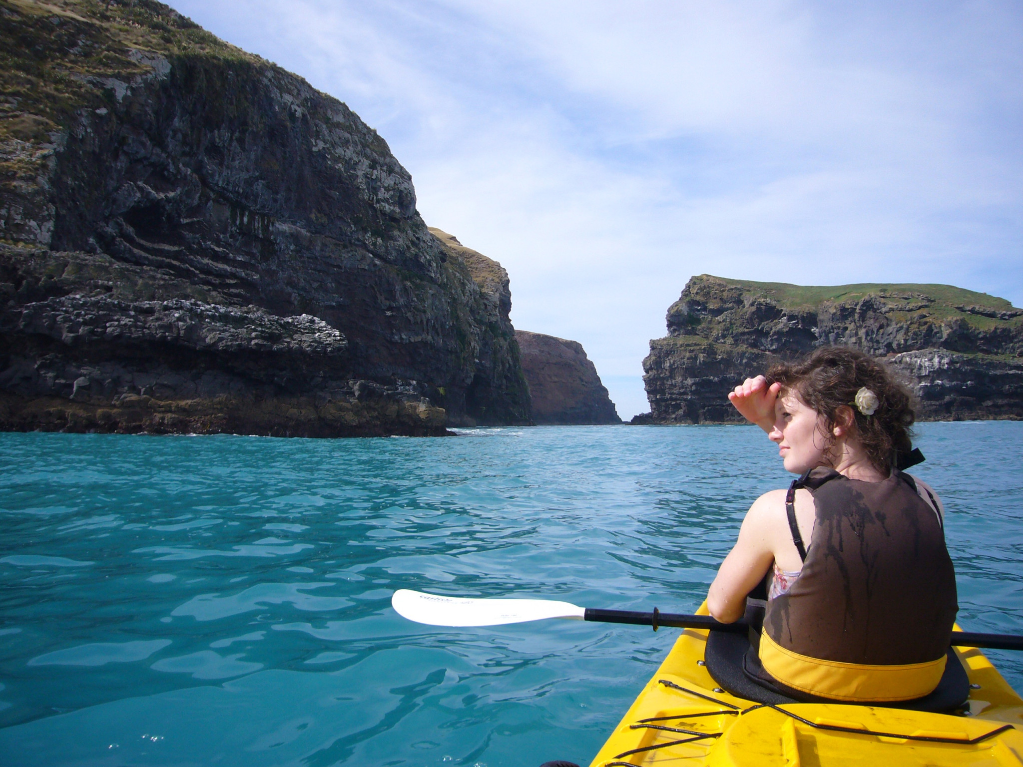 Early Bird Scenic Kayak Safari - Photo 1 of 5